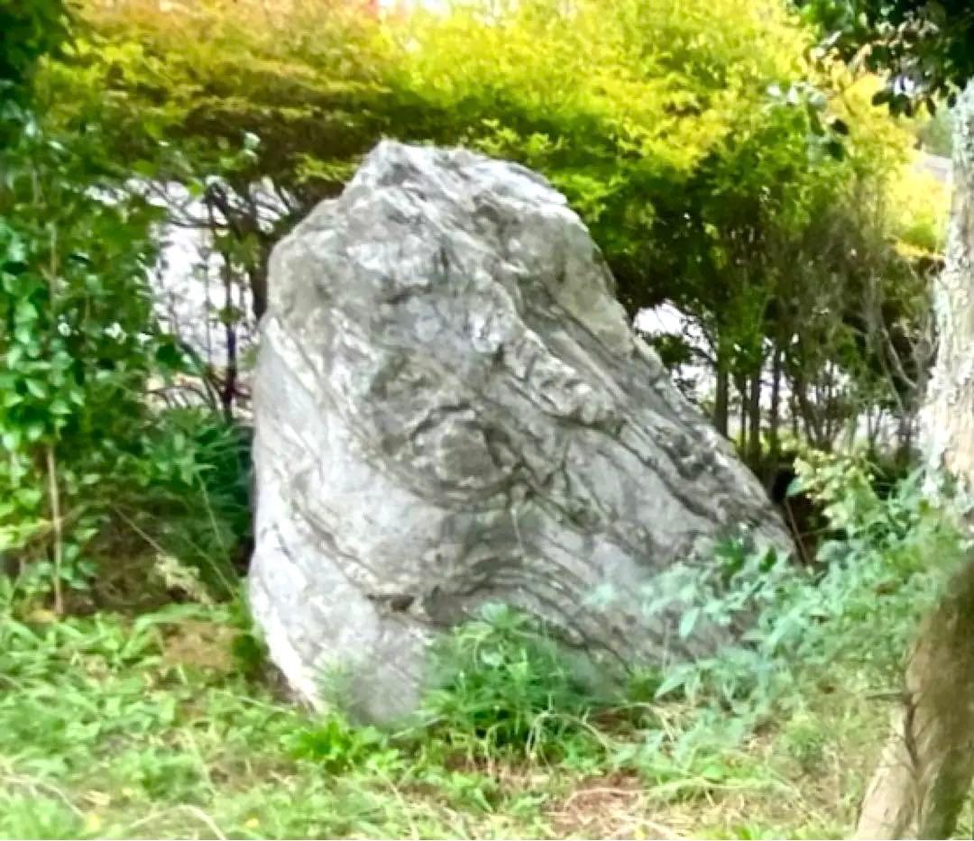庭石 自然石 大 灰色 約150×80×100㎝【石川県引き取り限定】まとめ割