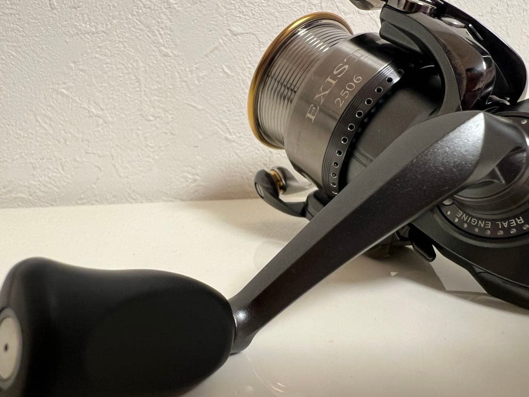 【極美品】ダイワ イグジスト スティーズカスタム 2506