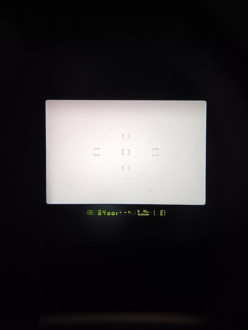 良品 NIKON ニコン F100 フィルムカメラ 加水分解なし H042