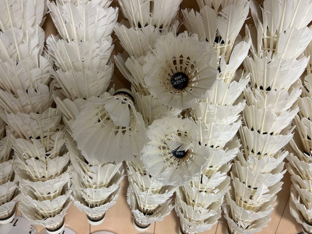 バドミントン中古シャトル　ヨネックス　ゴーセン他　240球