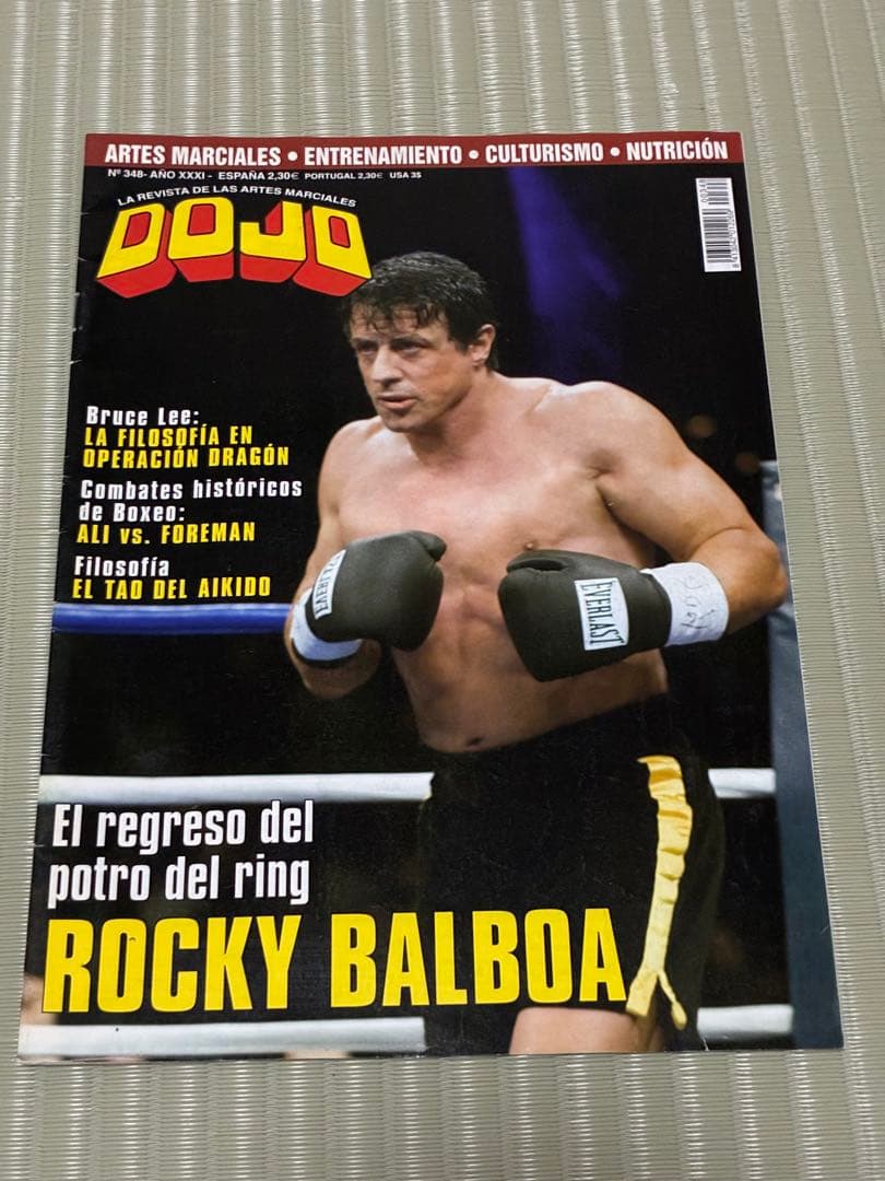 DOJO誌 スペイン版 15冊セット 武道・格闘技