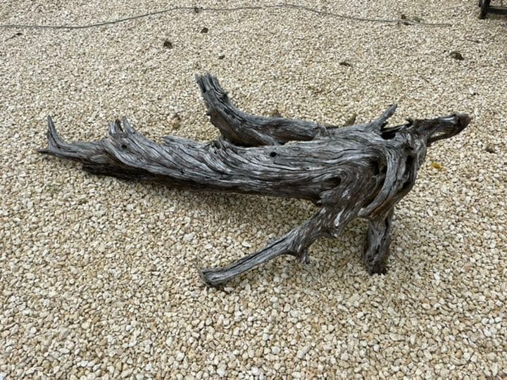 流木