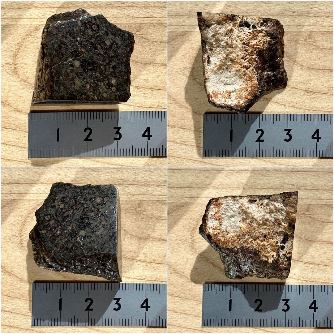 CVred3 炭素質 隕石 31.4g NWA12590 メテオライト 標本