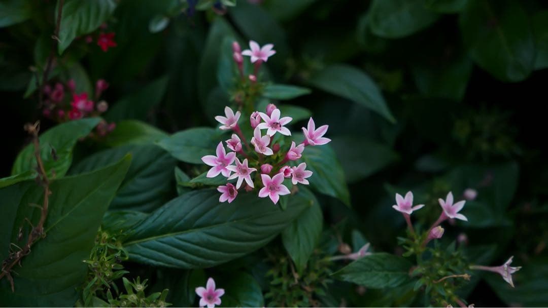 SONYα6300/SONY28-70 f3.5〜5.6 リグ、レンズフィルター