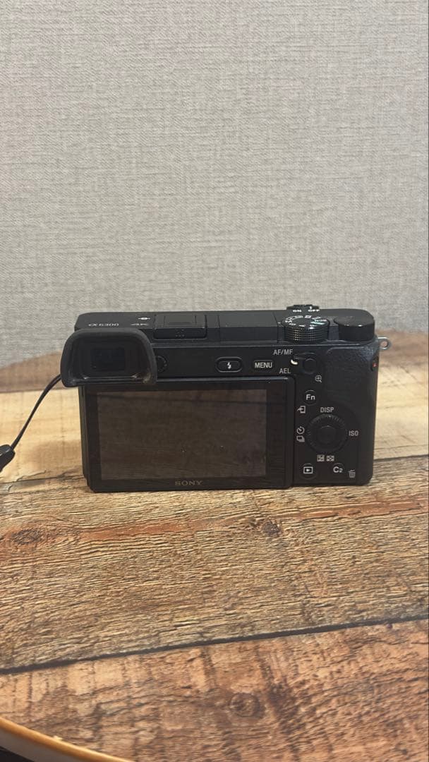 SONYα6300/SONY28-70 f3.5〜5.6 リグ、レンズフィルター