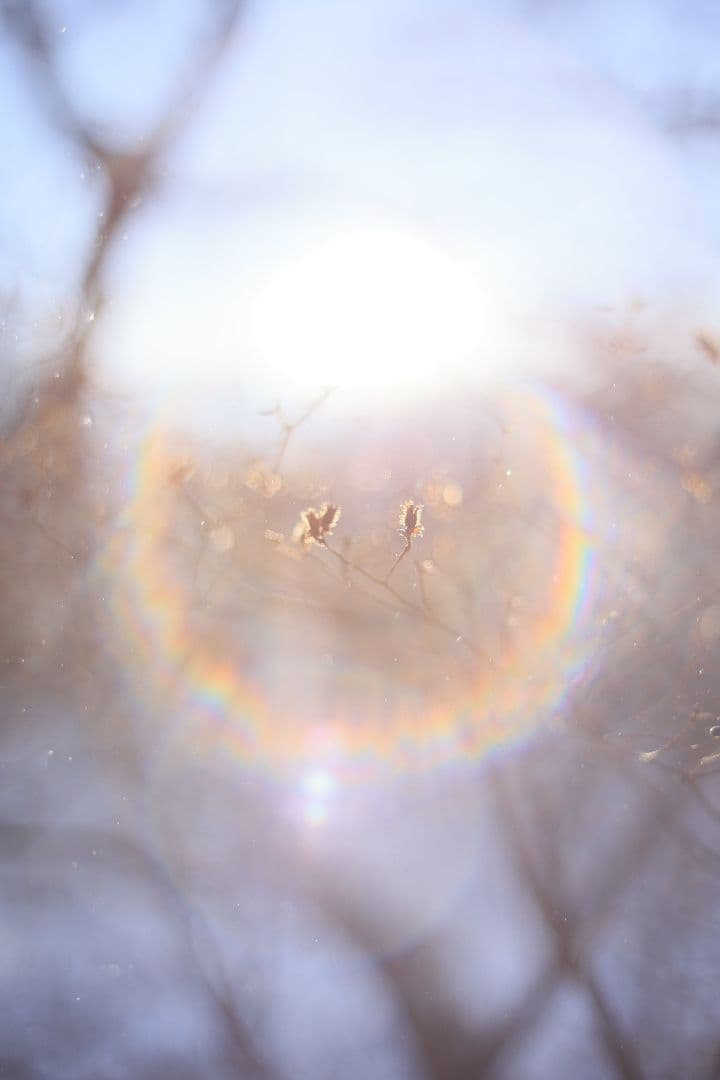 Super-Takumar 55mm F1.8 初期型 S/N：628134