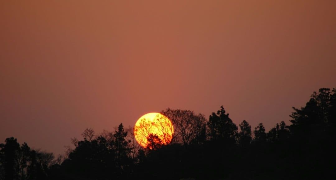 NIKON　D70　ダブルレンズ⚡️初心者⚡️ニコン⚡️一眼レフ⚡️超望遠