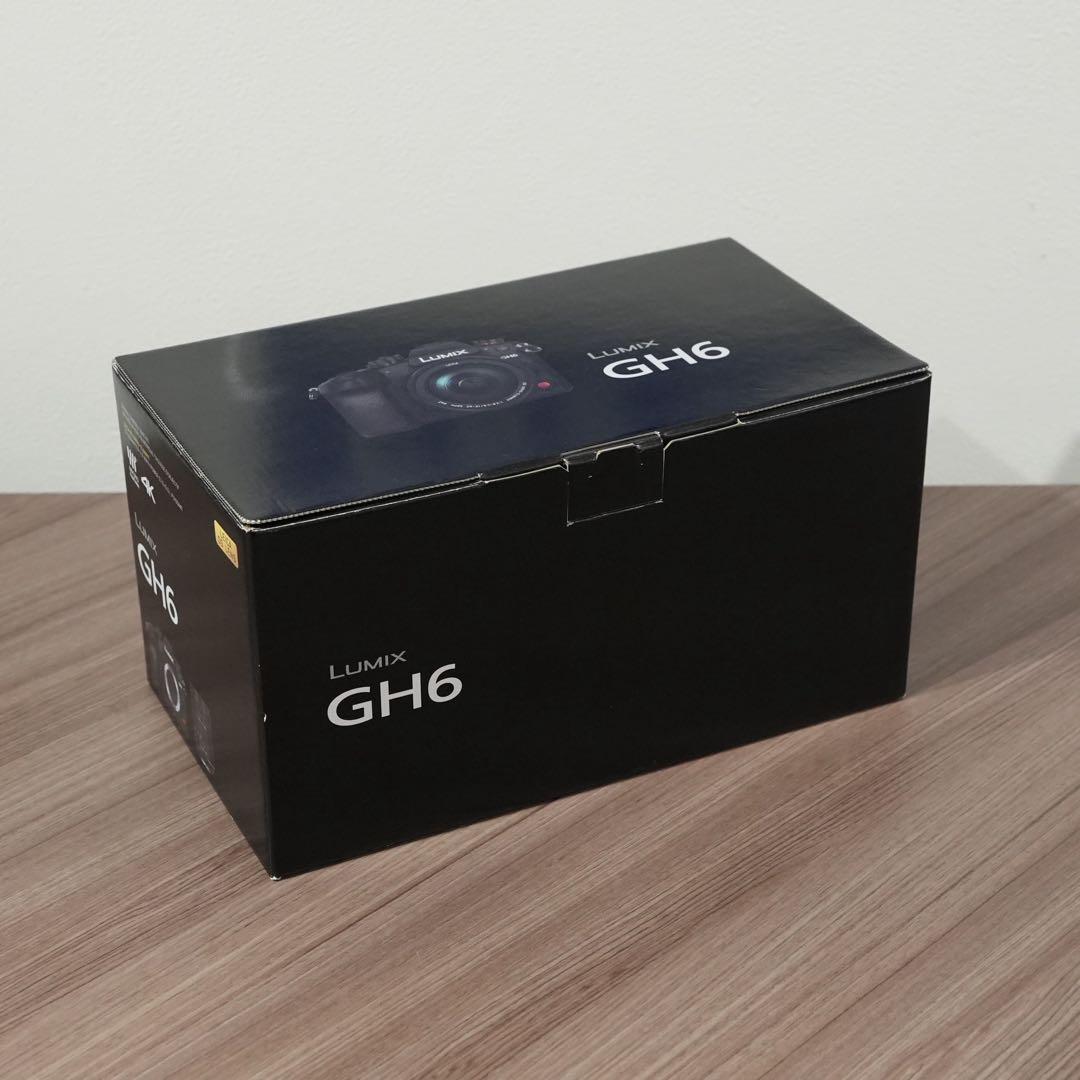 LUMIX GH6 ミラーレス一眼カメラ レンズ・TILTAゲージ付