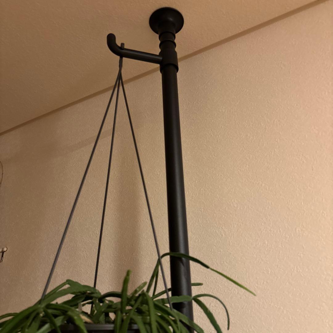 観葉植物 突っ張りポール 鉢2点 合計3点セット 240センチ前後 新品未使用品