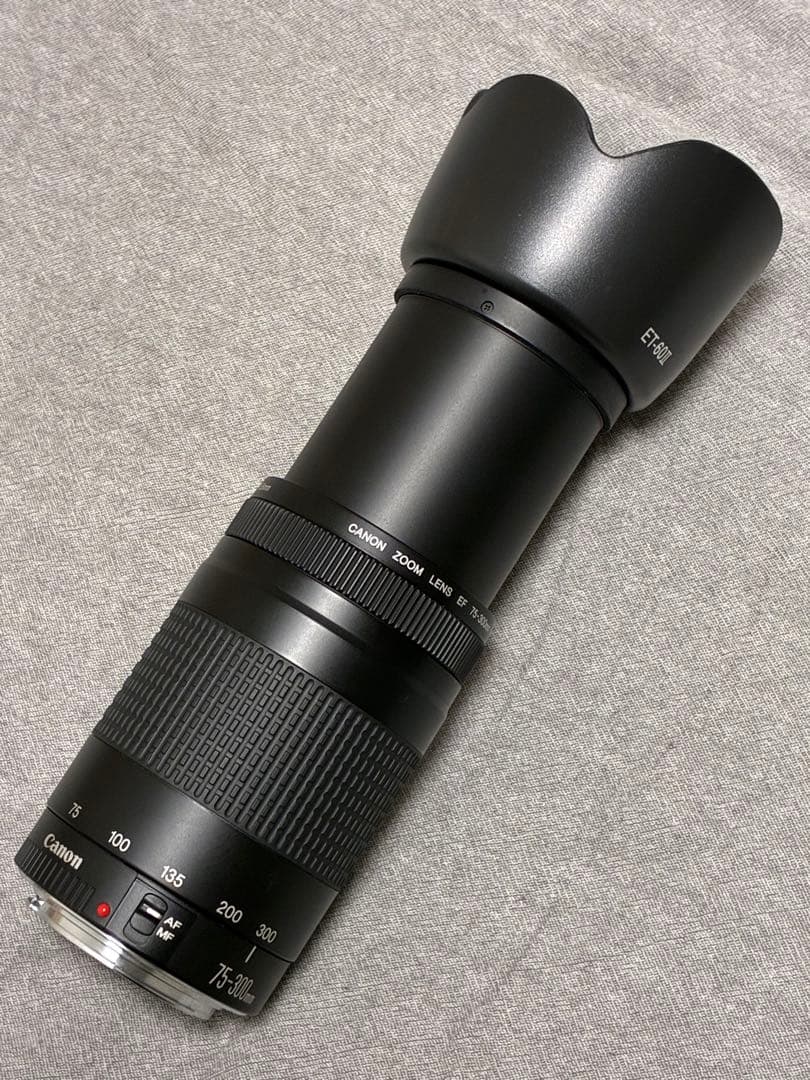⭐️美品⭐️ Canon EF 75-300mm F4-5.6 II フード付望遠