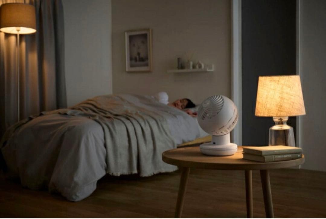 【未使用近い】IRIS OHYAMA サーキュレーターアイ　DC silent