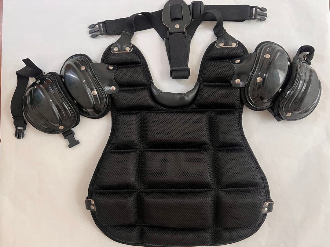 審判用プロテクター (マスク、左手用)、インジケーター、ブラシとハケ