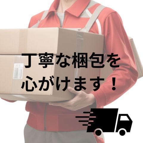 SteelSeries ゲーミングイヤホン マイク着脱式 Tusq ノイズキャb