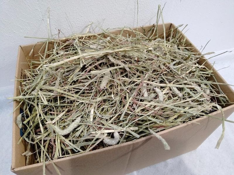 US産 チモシー 40kg ２番刈 ソフトスーパープレミアム