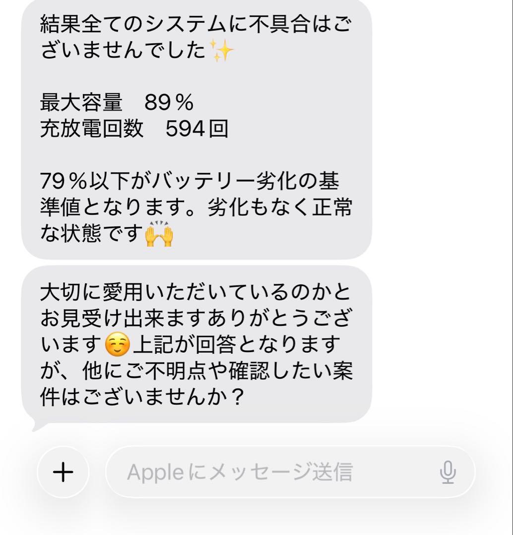 iPad mini 第五世代　バッテリー 89%