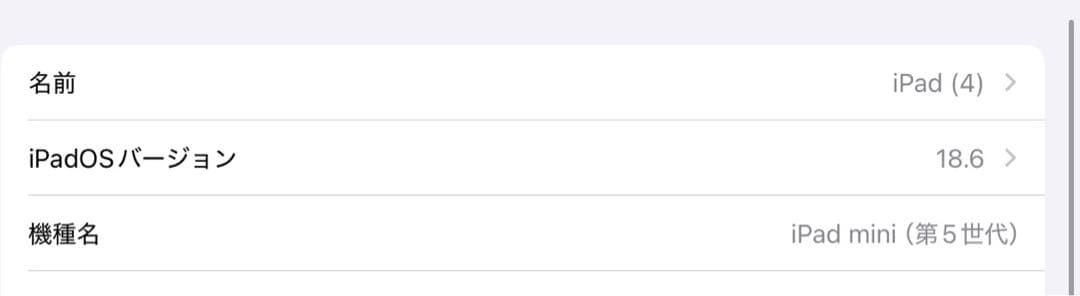 iPad mini 第五世代　バッテリー 89%
