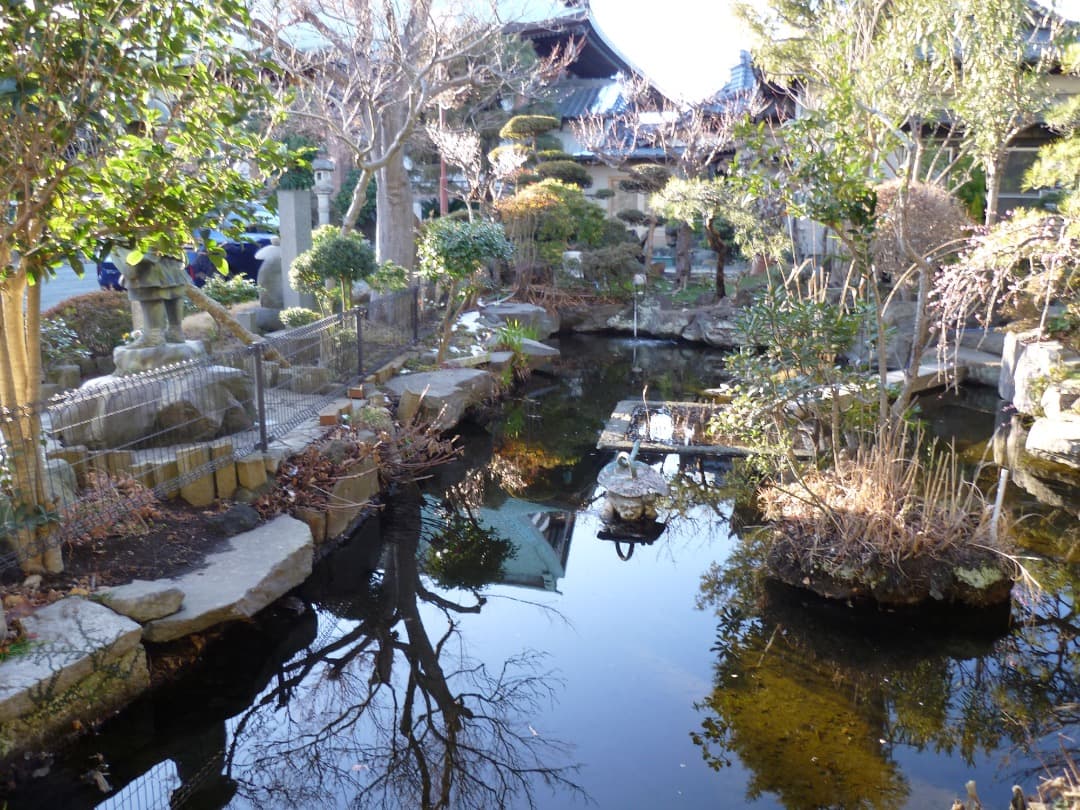 実写良⭕️美品【動作確認済】LUMIX DMC-FH1