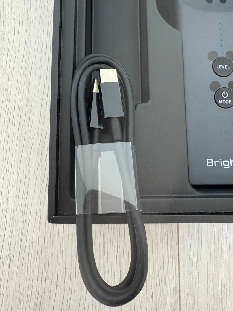 Brighte ELEKI BRUSH エレキブラシ 特別モデルミッキーマウス