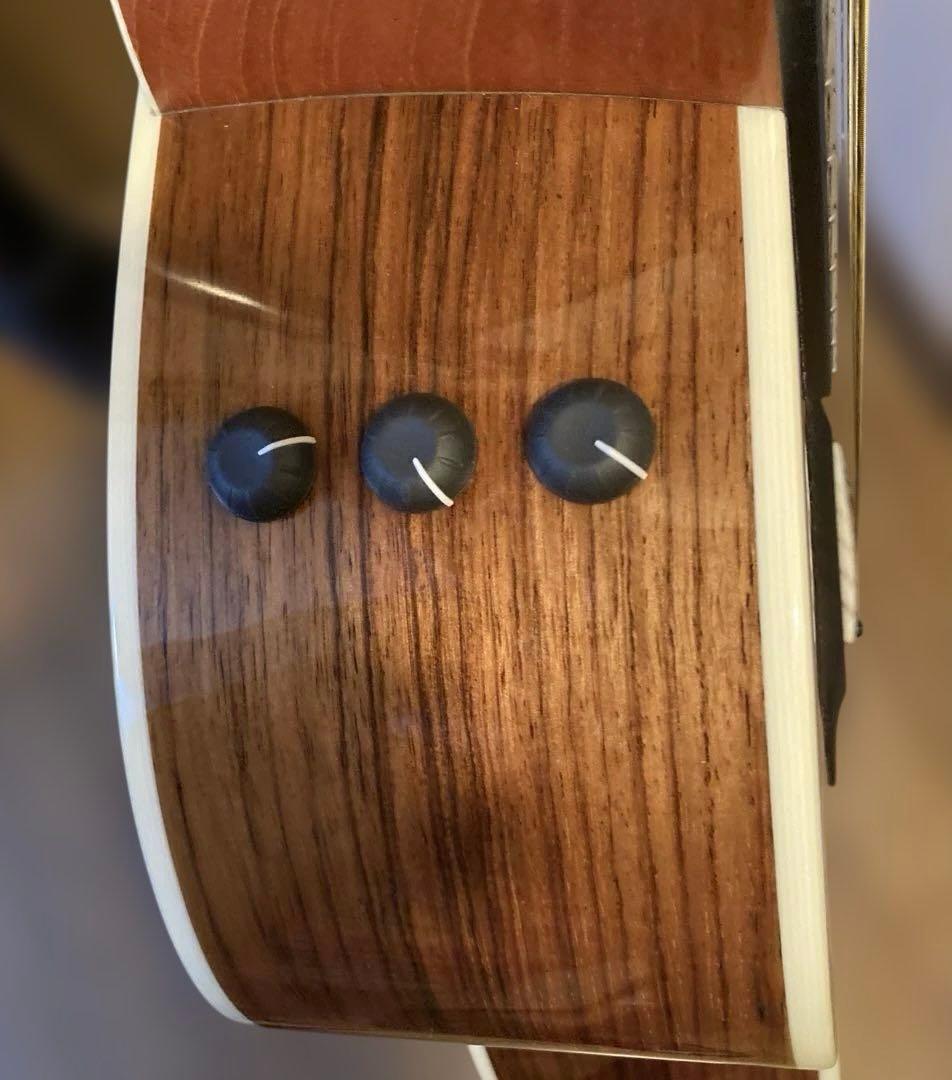 ギター 2020 Taylor LTD 414ce-R SEB