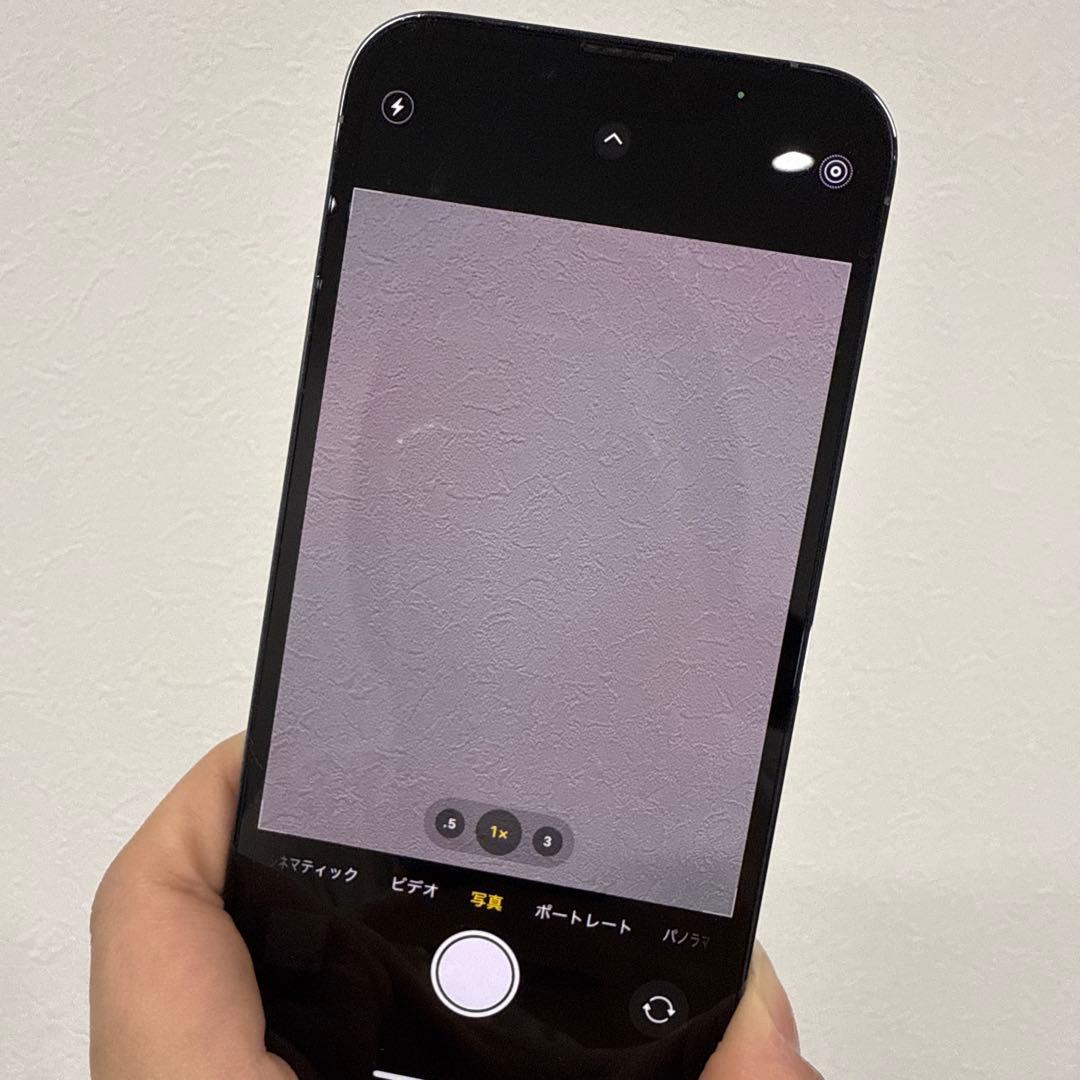 ★SIMフリー★iPhone13Pro 256GB バッテリー79% ブルー