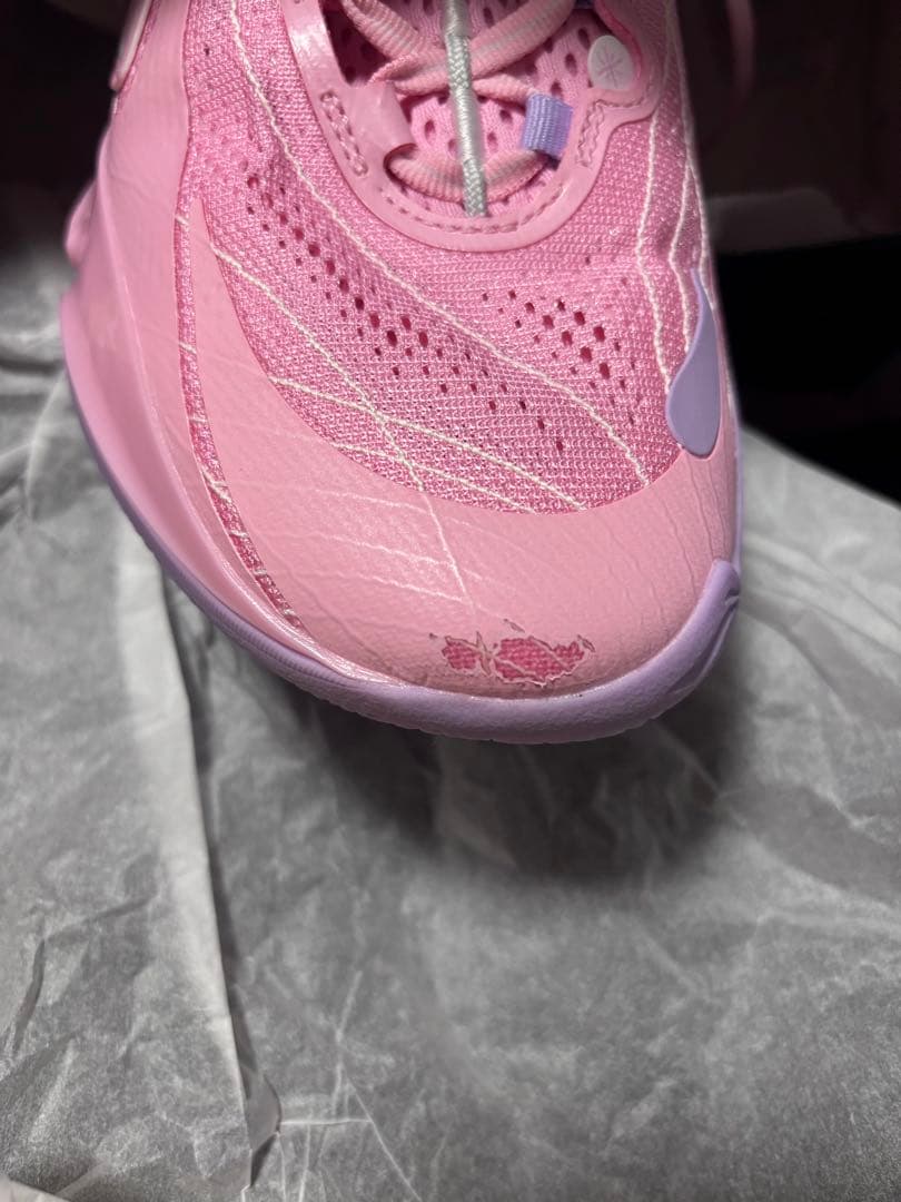 Wade 808 5 Ultra 桜 ピンク バスケットボールシューズ