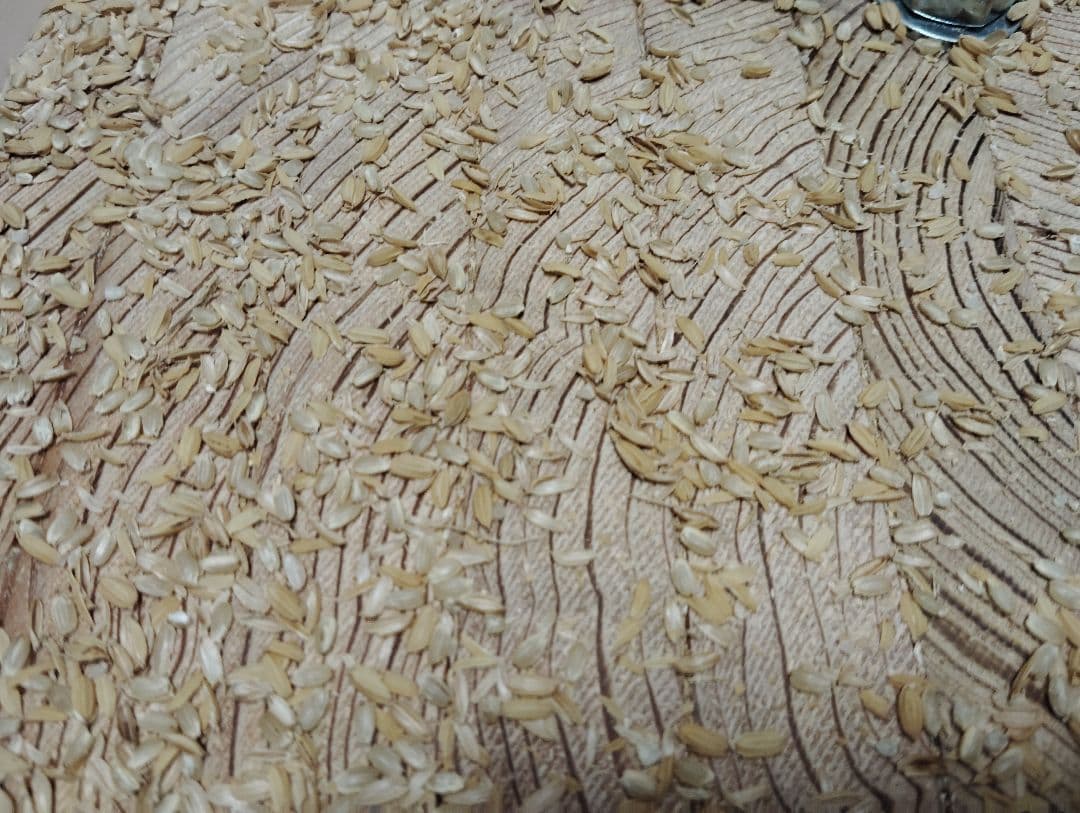 回転式籾擦り機(超大型)