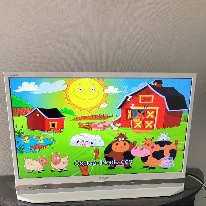 シャープ AQUOS Blu-ray対応DVDプレイヤー付き