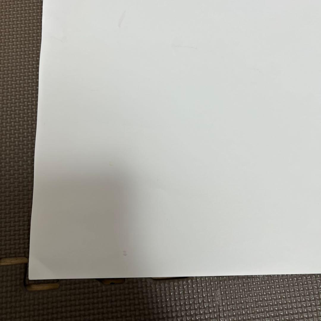 イクイノックス　ポスター　第166回天皇賞秋