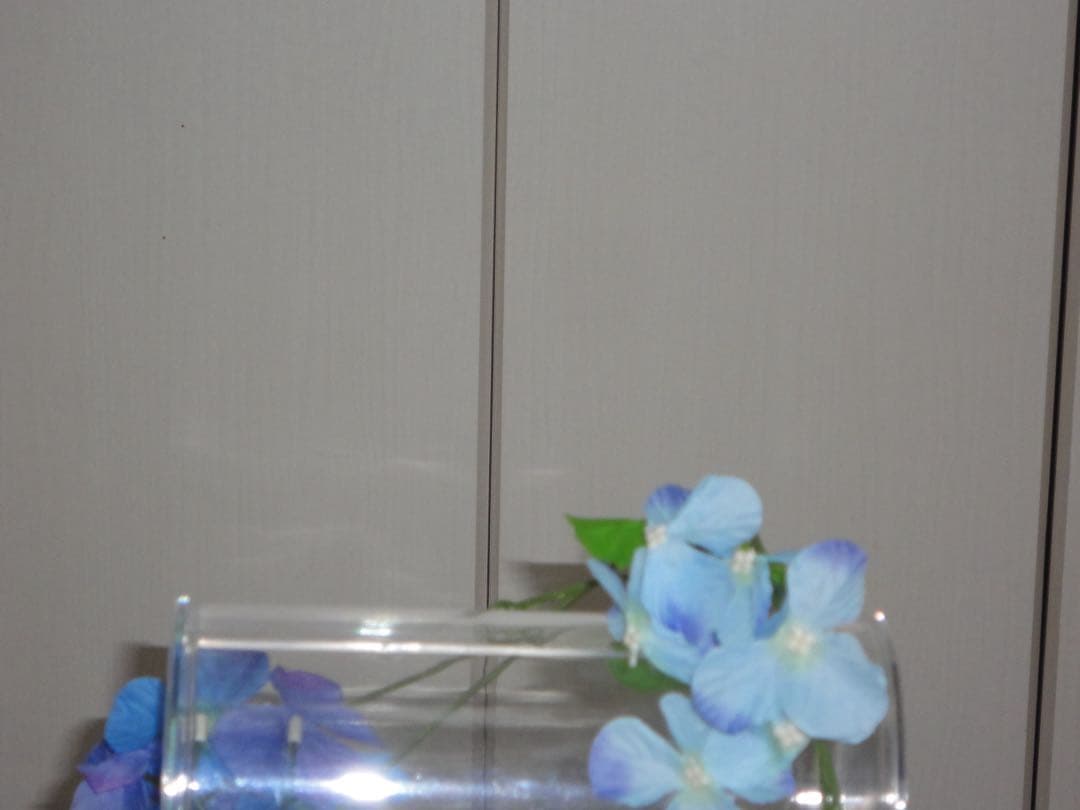 SONY カメラ　DSC-W350 充電器　ブルー　コンデジ　動作品