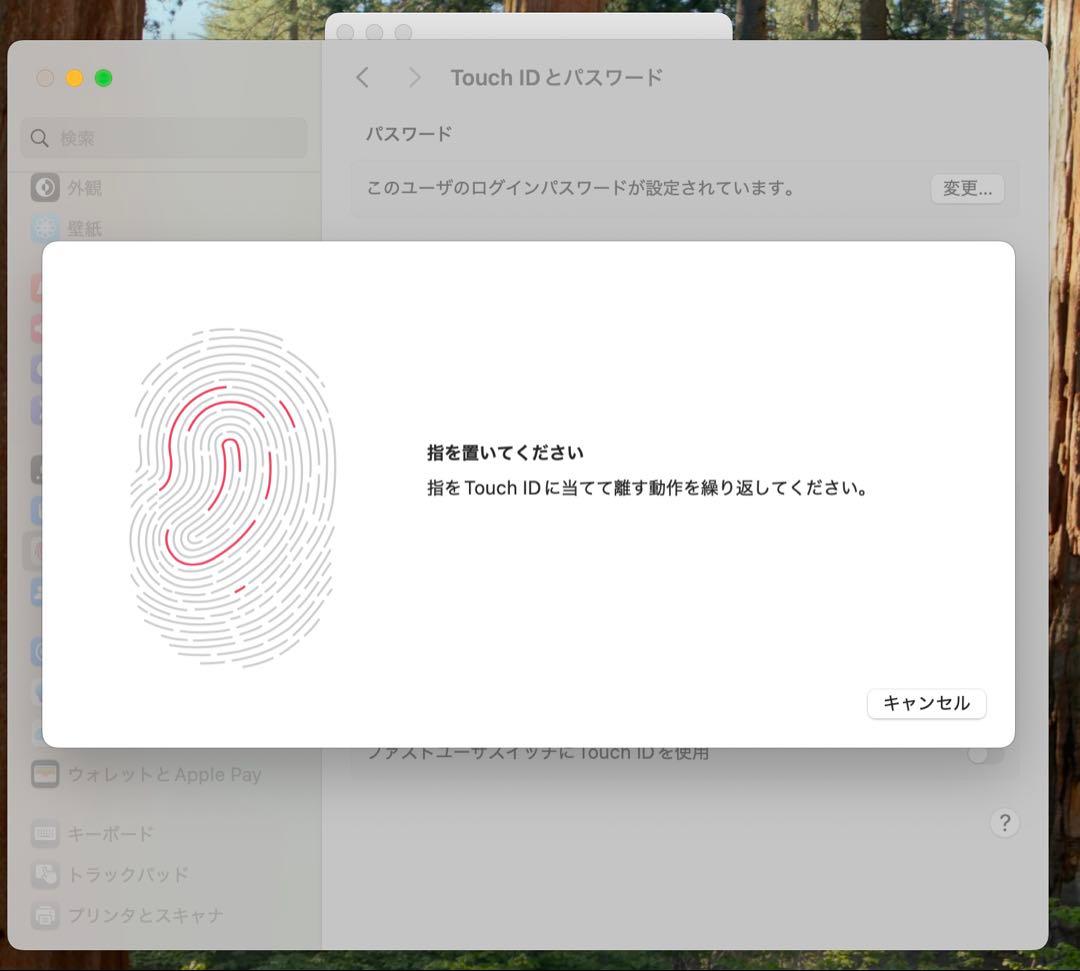 MacBook本体 Apple MacBook Pro 13 2019 i5/16GB/500Gb