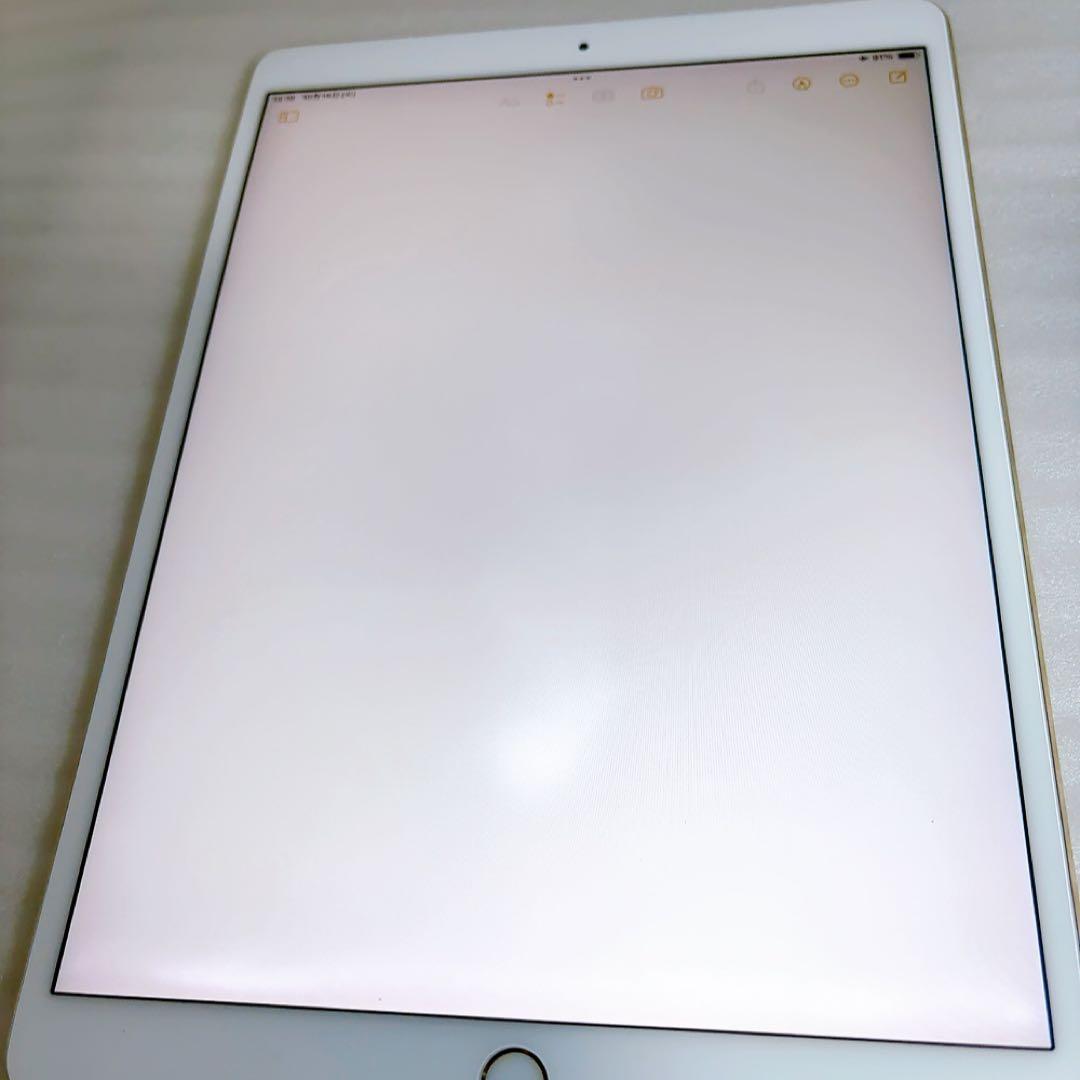即日発送！iPadPro2【256GB】SIMフリーとアップルペンシルのセット