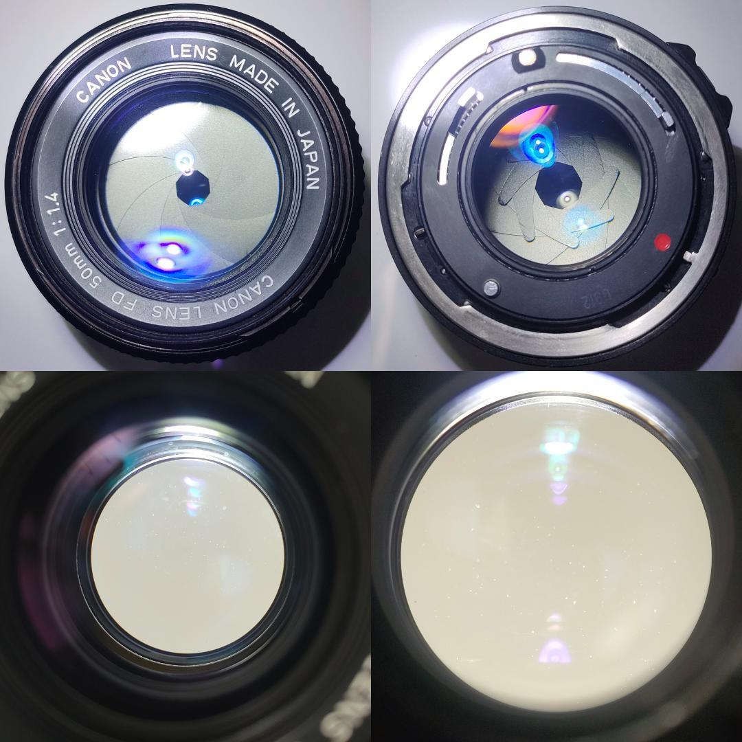 綺麗 Canon AE-1 PROGRAM / New FD 50mm F1.4