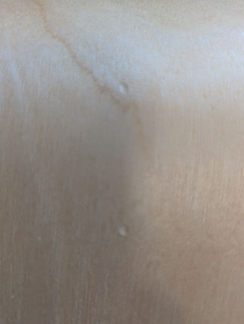 ファティーコンテナーズ Fatty Containers Lサイズ