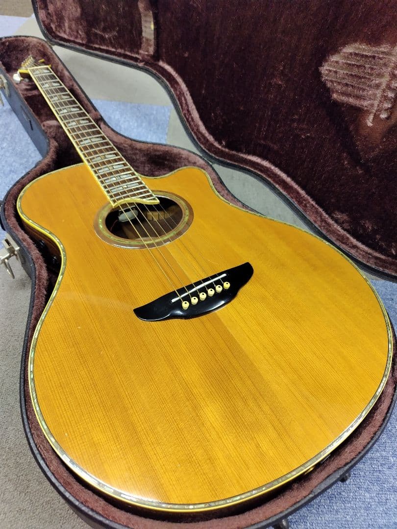 YAMAHA APX20TS アコースティック(エレアコ)ギター,ハードケース付