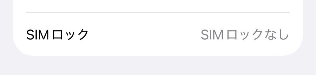 Apple iPhone 12 ブルー 64GB SIMフリー