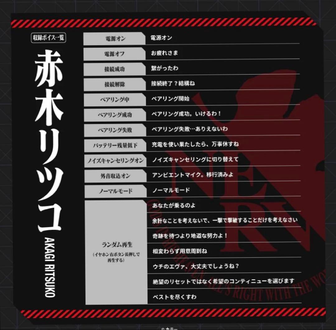 TE-V1R-EVA AVIOT ワイヤレスイヤホン