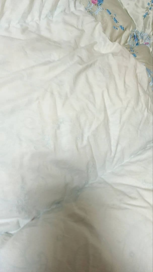 tak-tgo　丸八真綿　ソワリー　ダウン90%　羽毛1.5キロ　シミあり