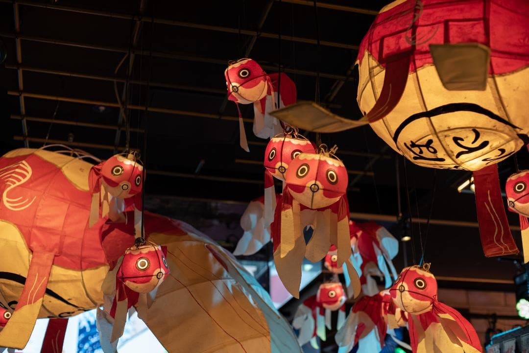 夜と言う名のレンズ Voigtlander NOKTON 50mm F1.1