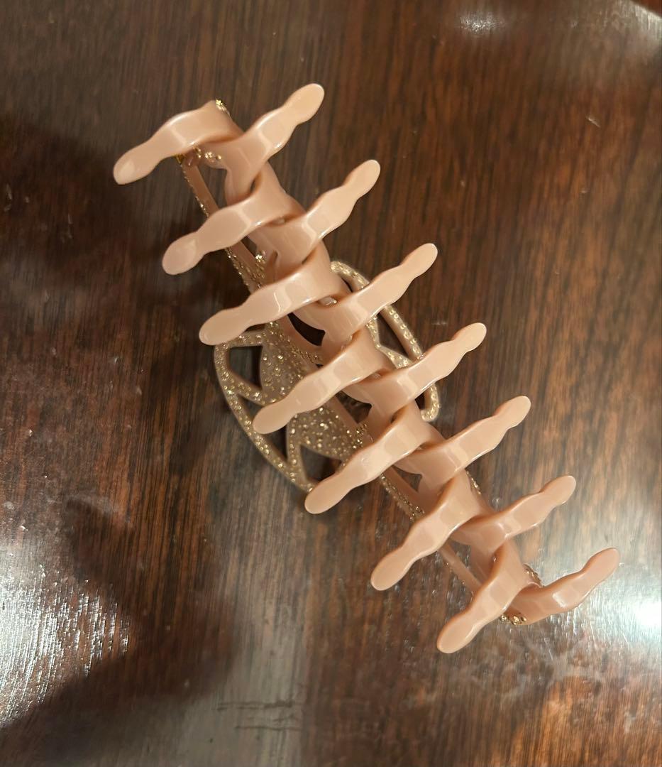 アレクサンドルドゥパリ スワロフスキークリップ 限定デザイン