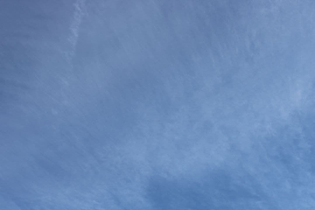 【りんりん】