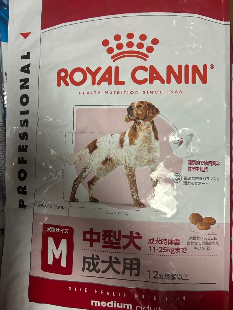 ポケット