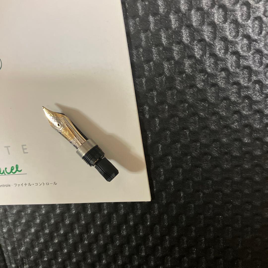 Pelikan Hunting ペリカン ハンティング 18C F 付属品完備