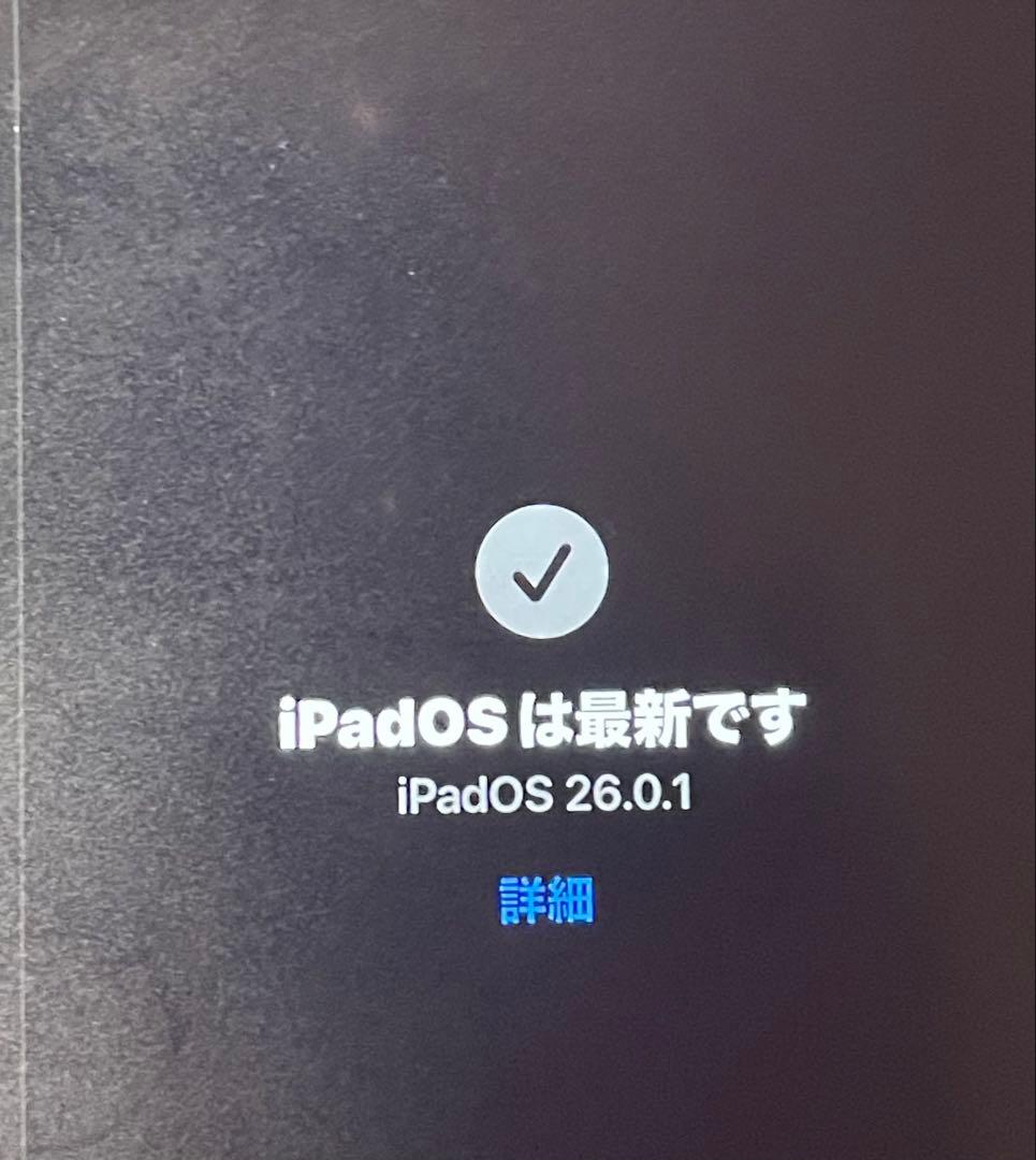 Apple iPad mini 5シルバー 本体セルラー