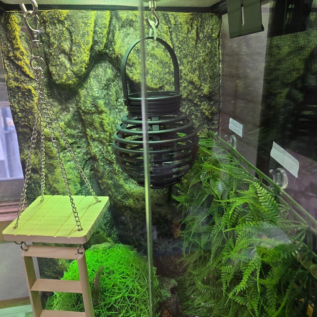 グラステラリウム　３０４５