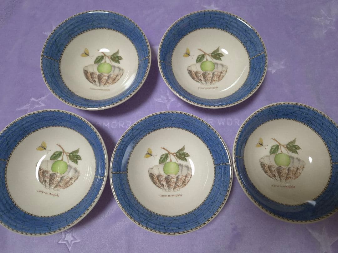  SARAH'S GARDEN 食器セット