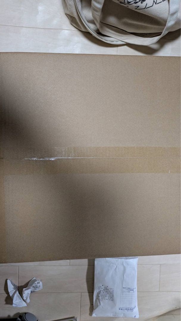 少年リック 限定版 東宝30cmシリーズ ゴジラ(2023) フィギュア