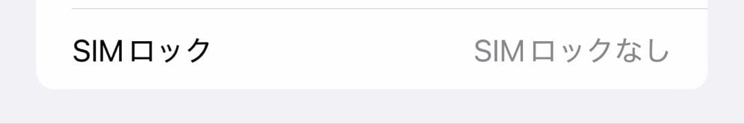iPhone Xs Max 256GB 画面液晶漏れ？