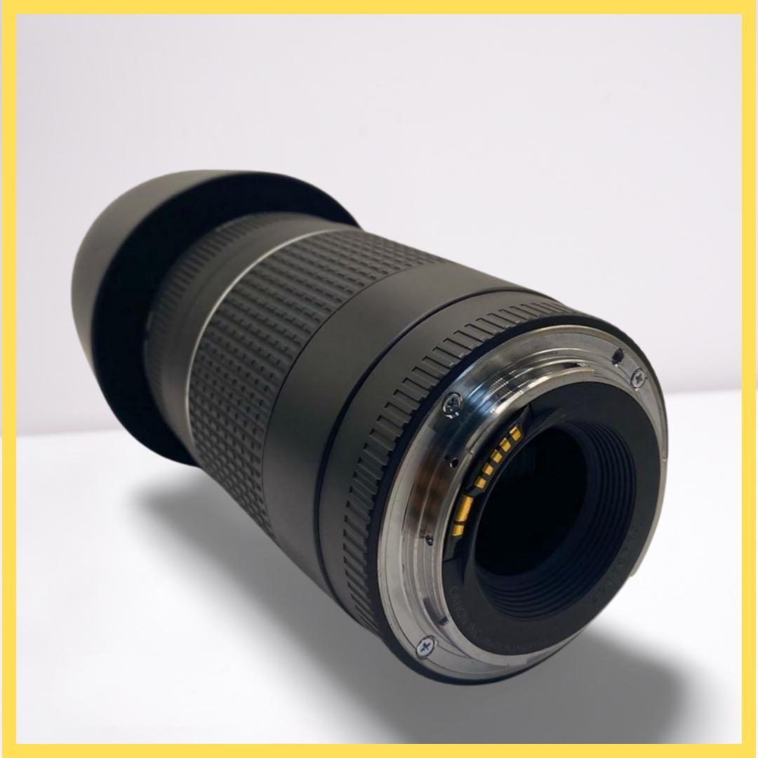 ⭐️美品⭐️Canon EF 75-300mm F4-5.6 III 望遠レンズ