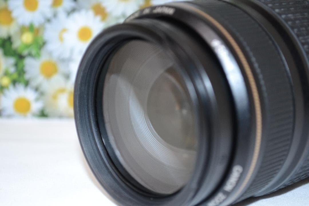 ❤️美品❤️Canon EF 75-300mm IS USM❤️超望遠❤️人気