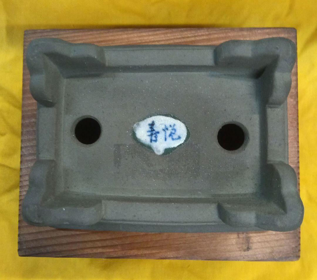 012.【寿悦】外縁額面長方鉢/ミニ盆栽鉢/木箱付き